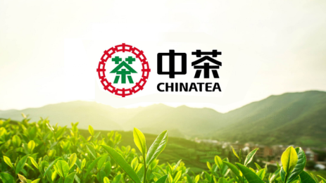 东道助力中国茶叶股份有限公司品牌升级