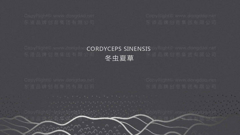 市场设计简单logo需要多少钱？费用解析
