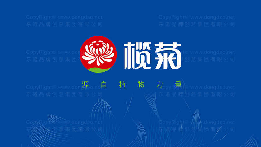 如何设计一个吸引人的鞋店logo？
