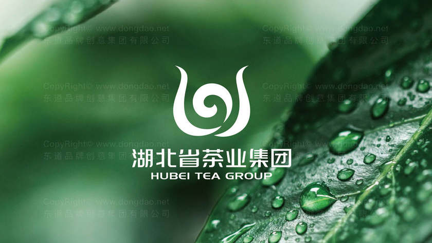 如何设计两个logo？