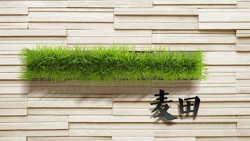 水泵logo能采用简约风格吗？核心设计元素包括哪些？