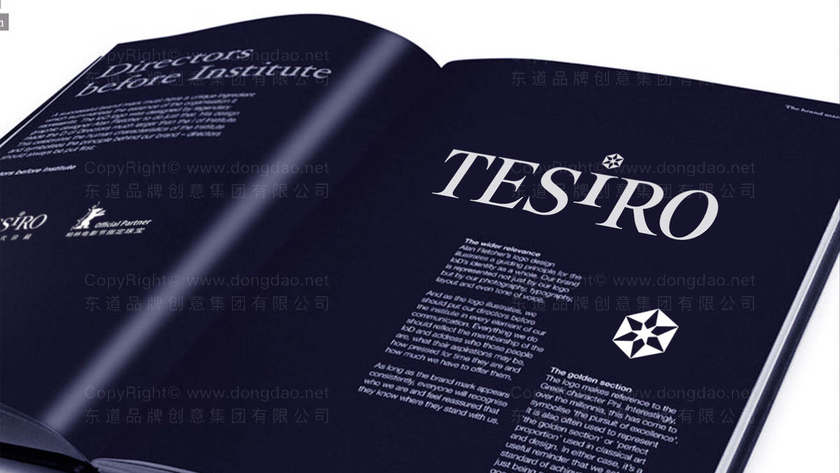 衬衫logo设计有哪些常见风格类型？现代与经典风格有什么区别？