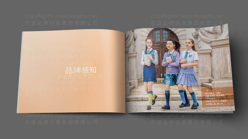 女袜logo设计定义是什么？它如何影响目标消费者购买决策？