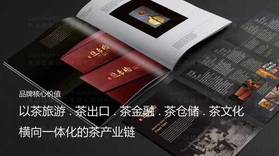中国品牌设计塑造“润百颜”品牌最人青睐