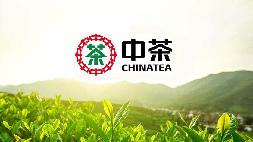 茶叶品牌设计是什么？它对消费者购买决策有何影响？