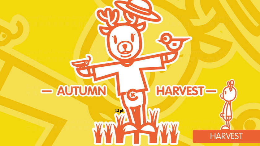 女裤品牌设计是什么？它对消费者购买决策有何影响？