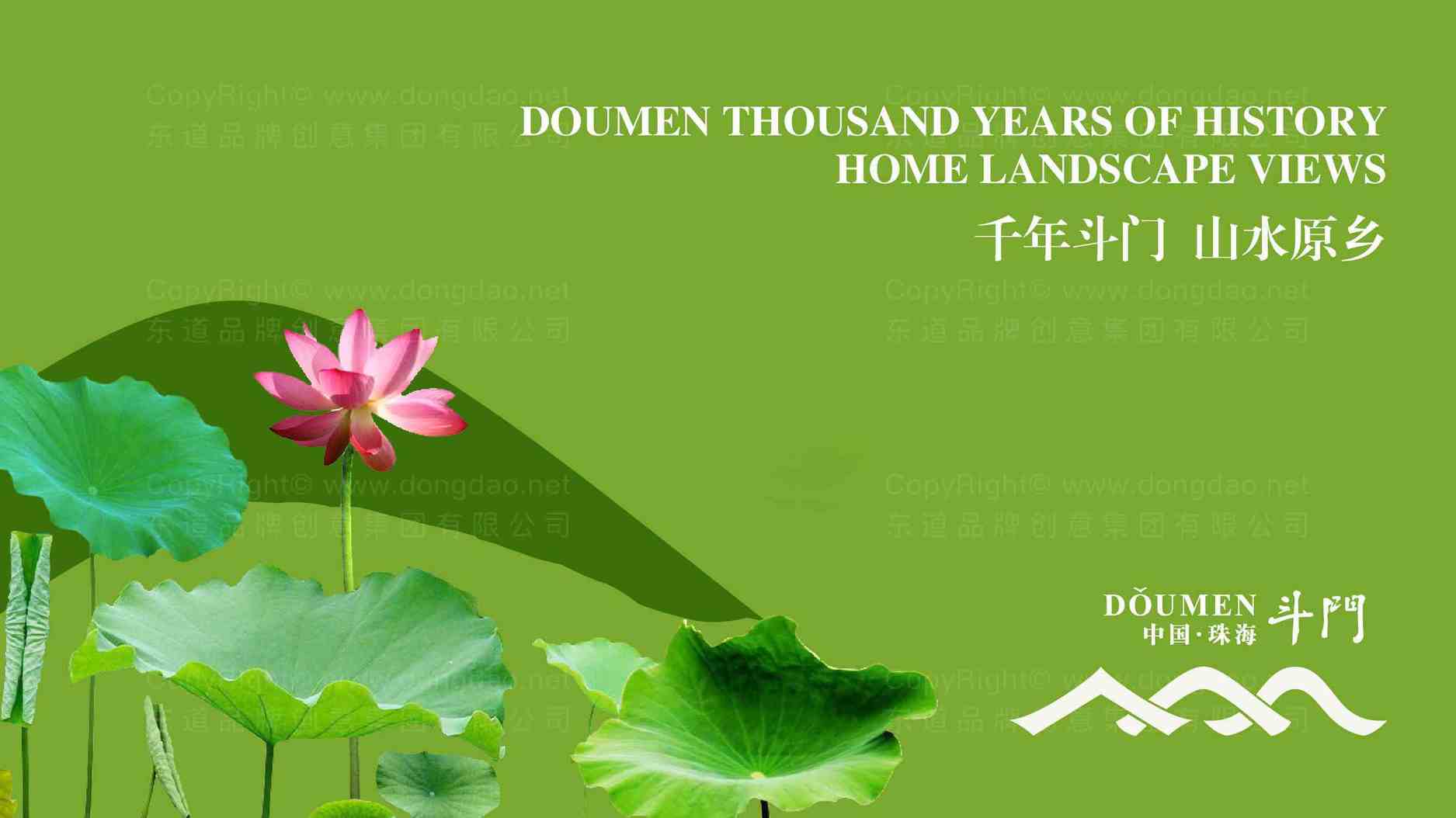 塑造压缩毛巾专业品牌形象，可以从产品命名和品牌故事哪些方面入手？