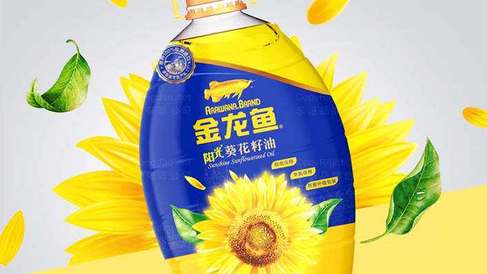 如何准备包装设计的作品集？需要遵循哪些步骤？