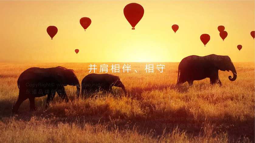 宠物零食包装设计适合什么流行风格？