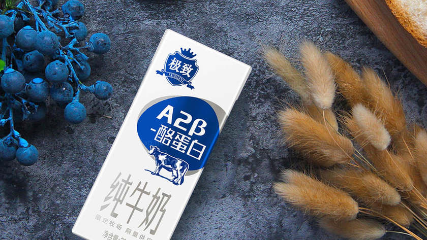 如何制作月饼包装设计盒子？需要考虑哪些要素？