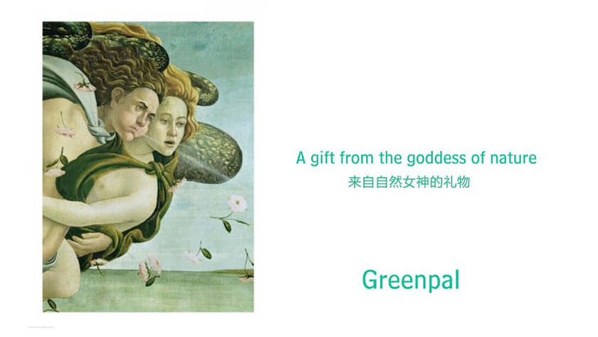 化妆品包装设计流程中，市场调研阶段应关注什么？如何验证设计符合法规要求？