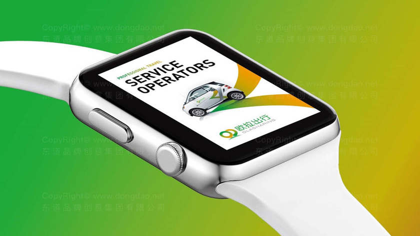 蔬菜画册设计主要包含哪些关键要素？如何平衡美观性与功能性？