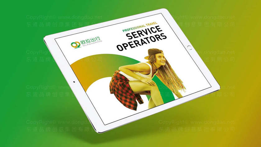 如何评估蔬菜画册设计的质量？有哪些行业通用的评判标准？