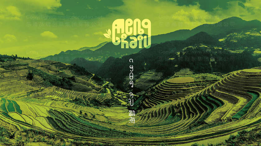 需要满足什么条件才能创建专业的酒店画册？有哪些实用的设计方法？