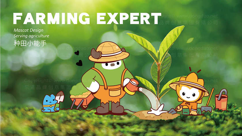 印刷画册的主要类型有哪些？它们分别适用于什么样的商业场景？