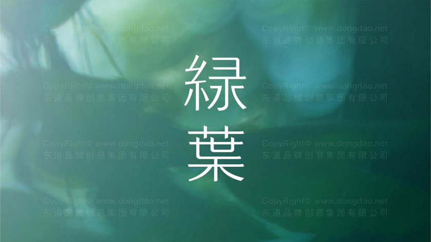 如何设计面膜画册？为什么它能增强产品吸引力？