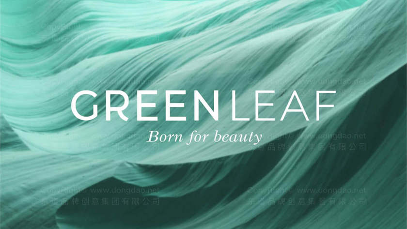 化妆品画册设计能提升用户购买意愿吗？如何通过数据验证其效果？