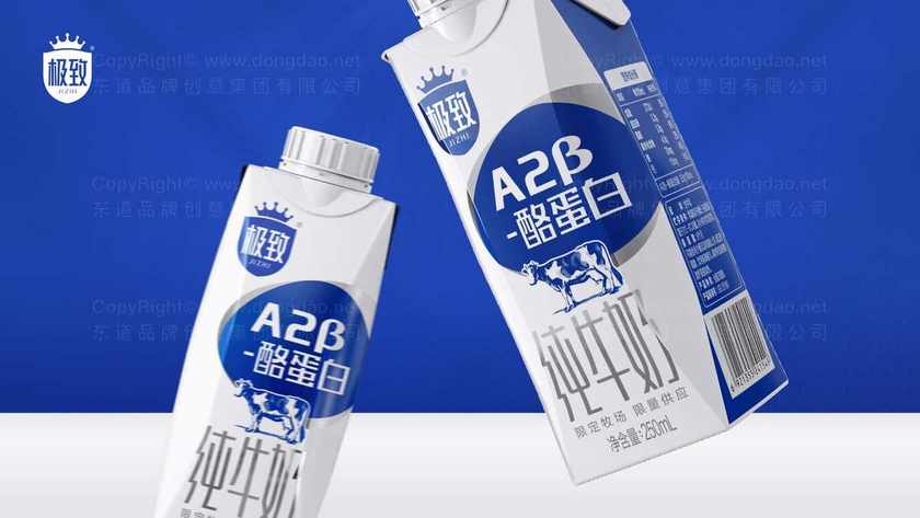 电砂锅画册设计中如何体现功能与美观统一？用户心理如何把握？