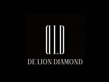 星光珠宝企业品牌（Delion Diamond）vi设计图片素材_3