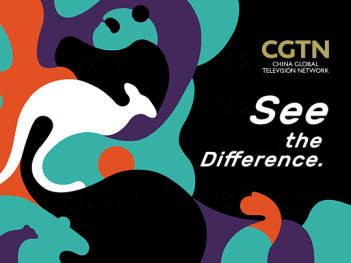 CGTN动物拼图系列广告设计图片素材