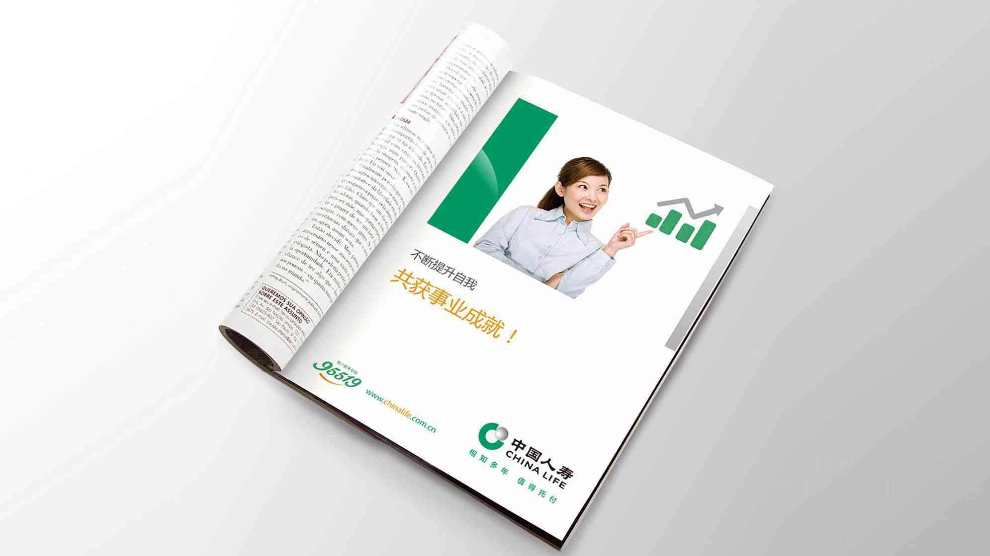 中国人寿保险公司vi设计图片素材_12