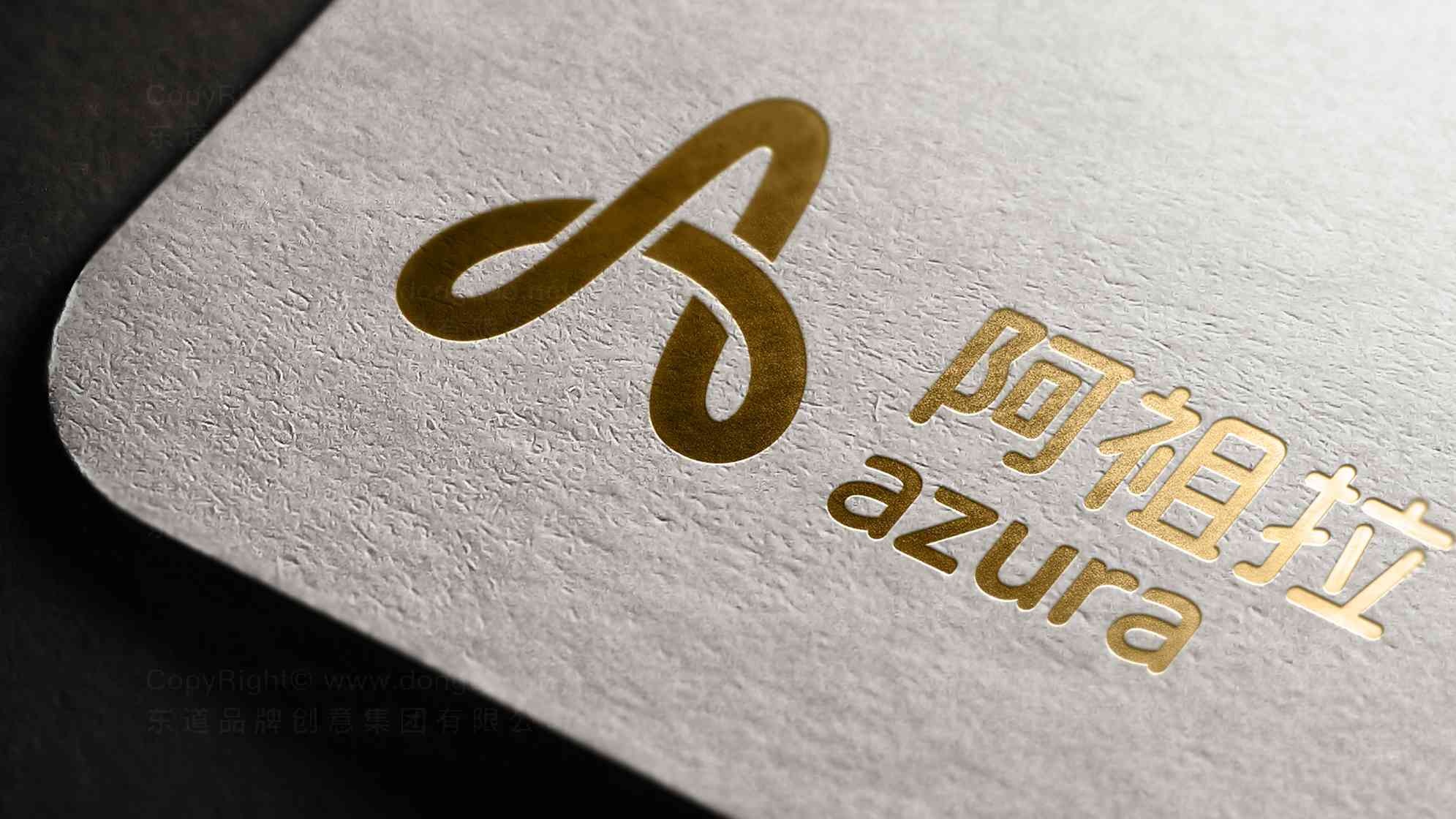 阿祖拉技术公司logo设计图片素材_4