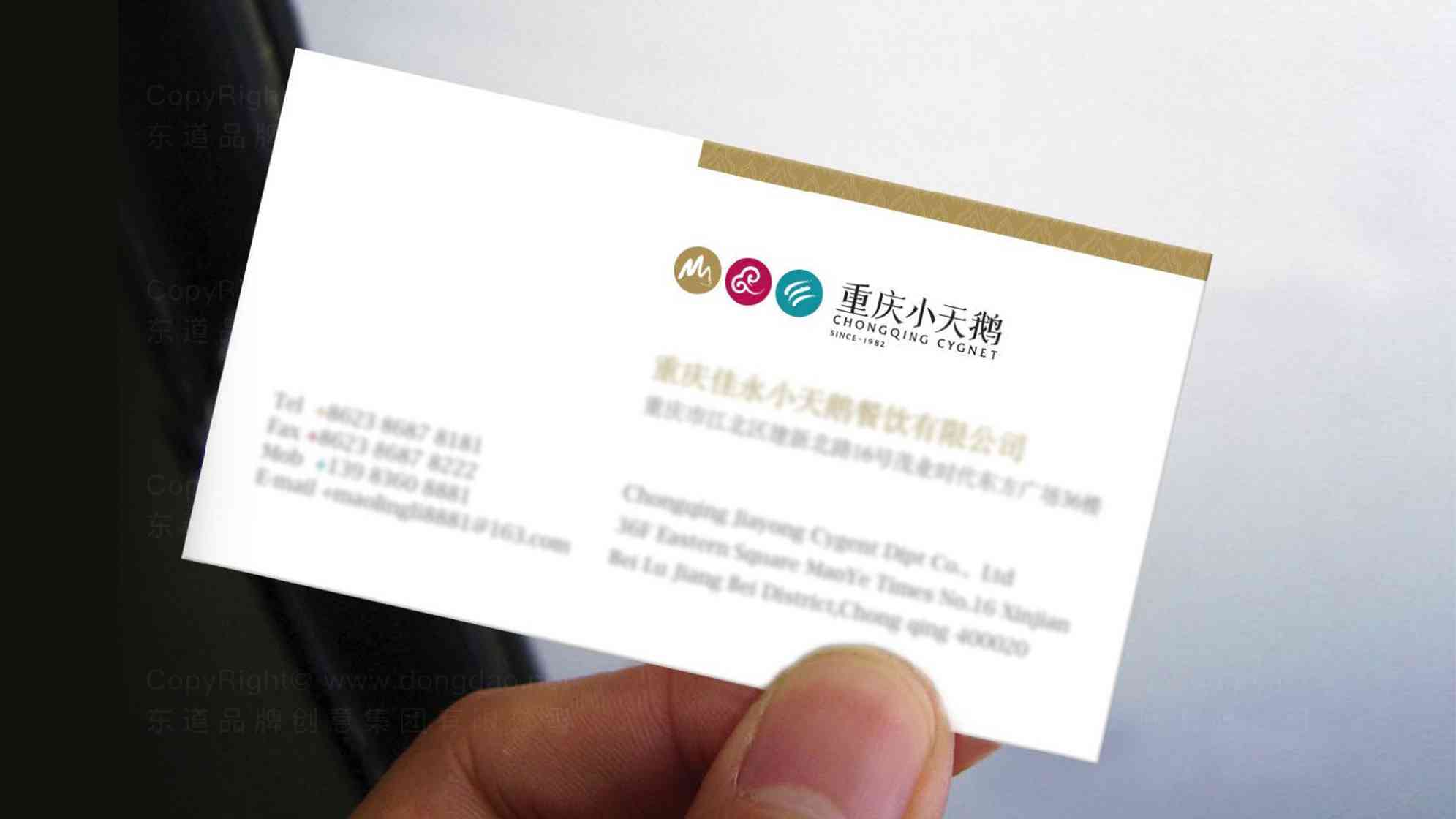 重庆小天鹅餐饮logo设计图片素材