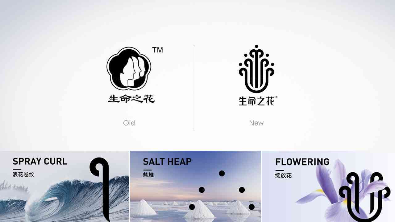 海南盐业食盐产品全案设计图片素材_4