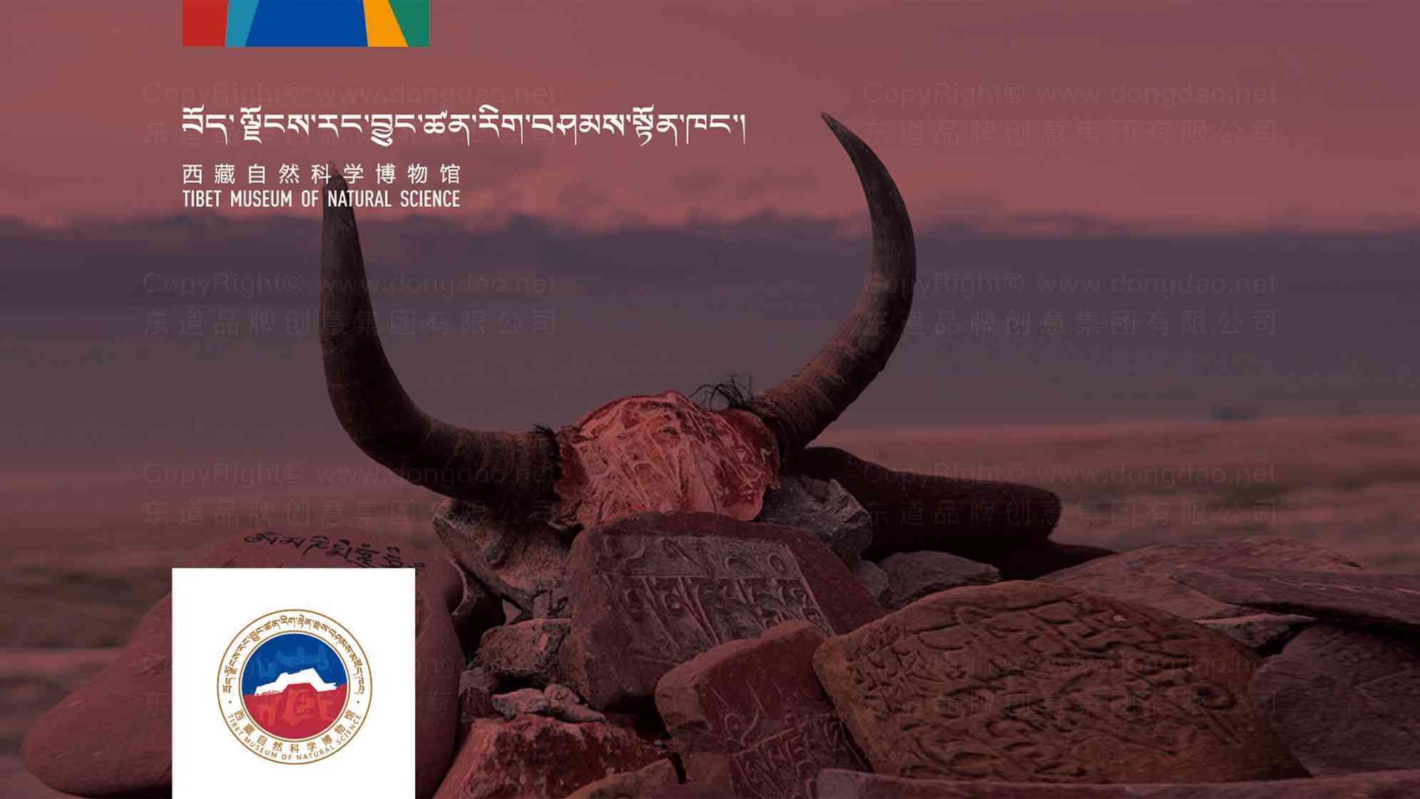 西藏自然科學博物館logo設計圖片素材