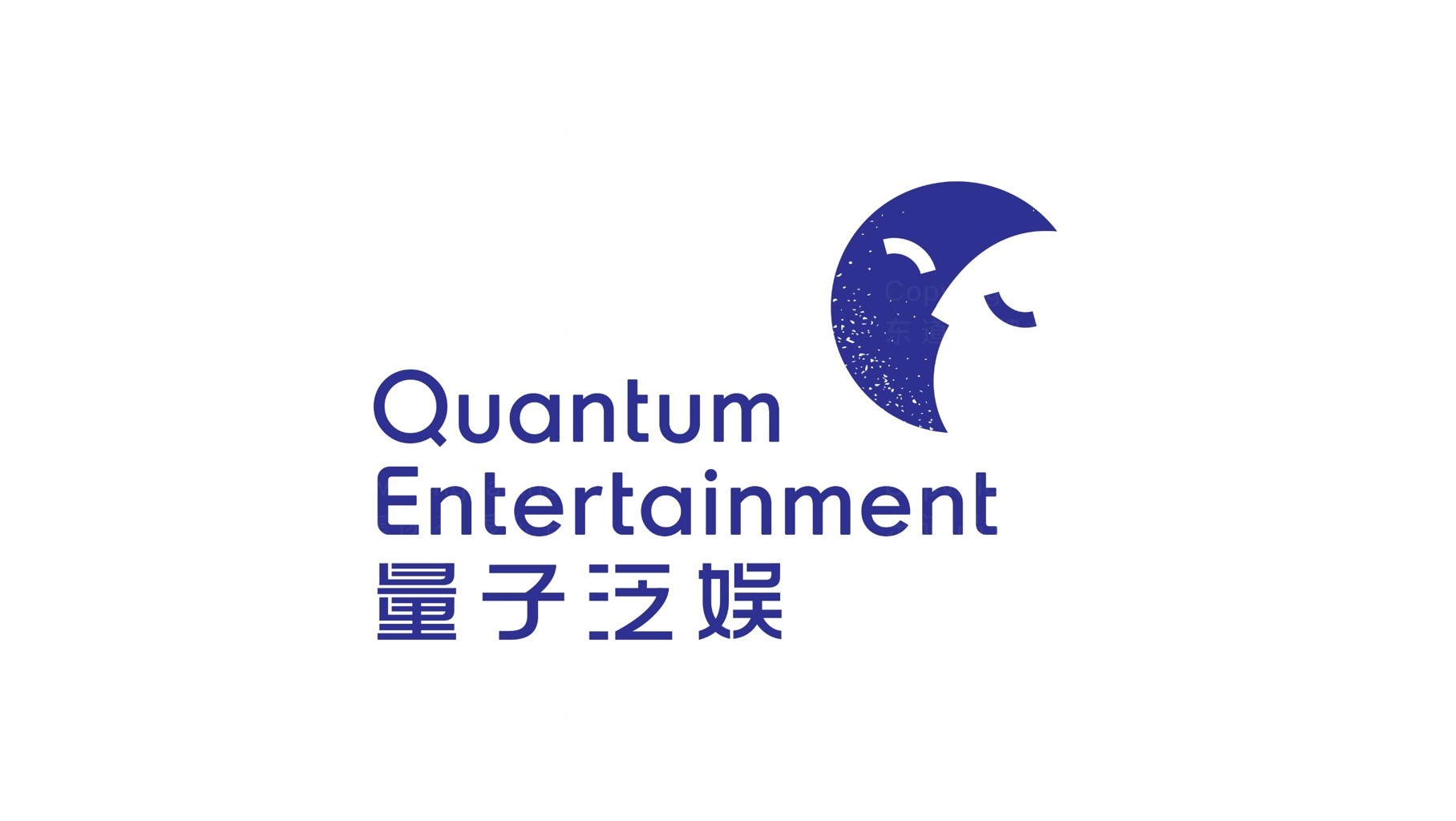 量子泛娱logo设计图片素材大全案例欣赏