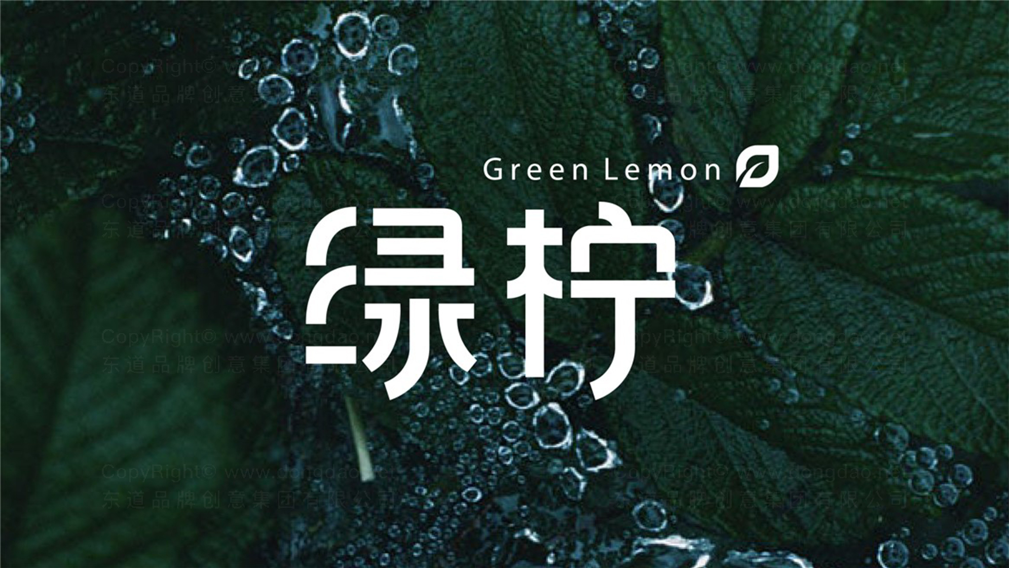绿柠洗护产品logo设计图片素材大全案例欣赏