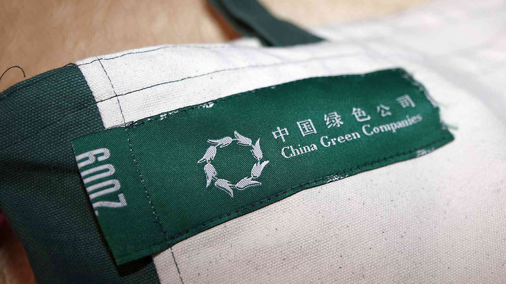 中国绿公司年会公司品牌logo设计图片素材_11