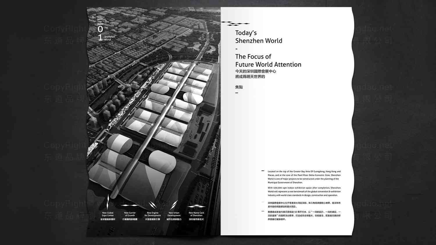 深圳國際會展中心畫冊設計圖片素材
