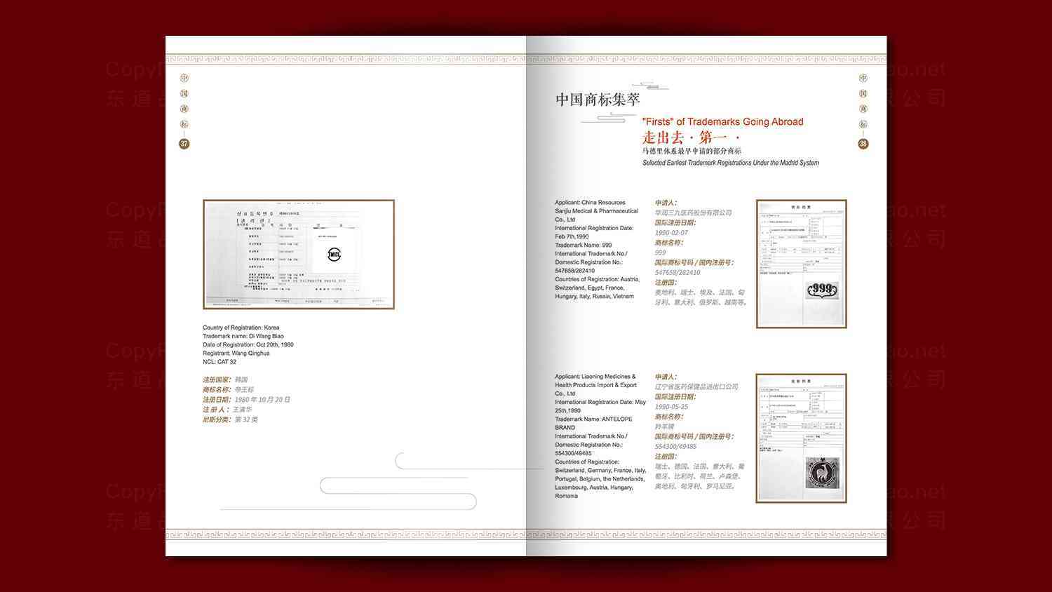 中华商标协会画册设计图片素材_17