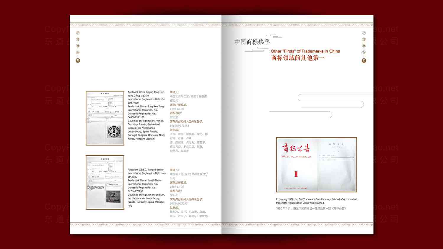 中华商标协会画册设计图片素材_18