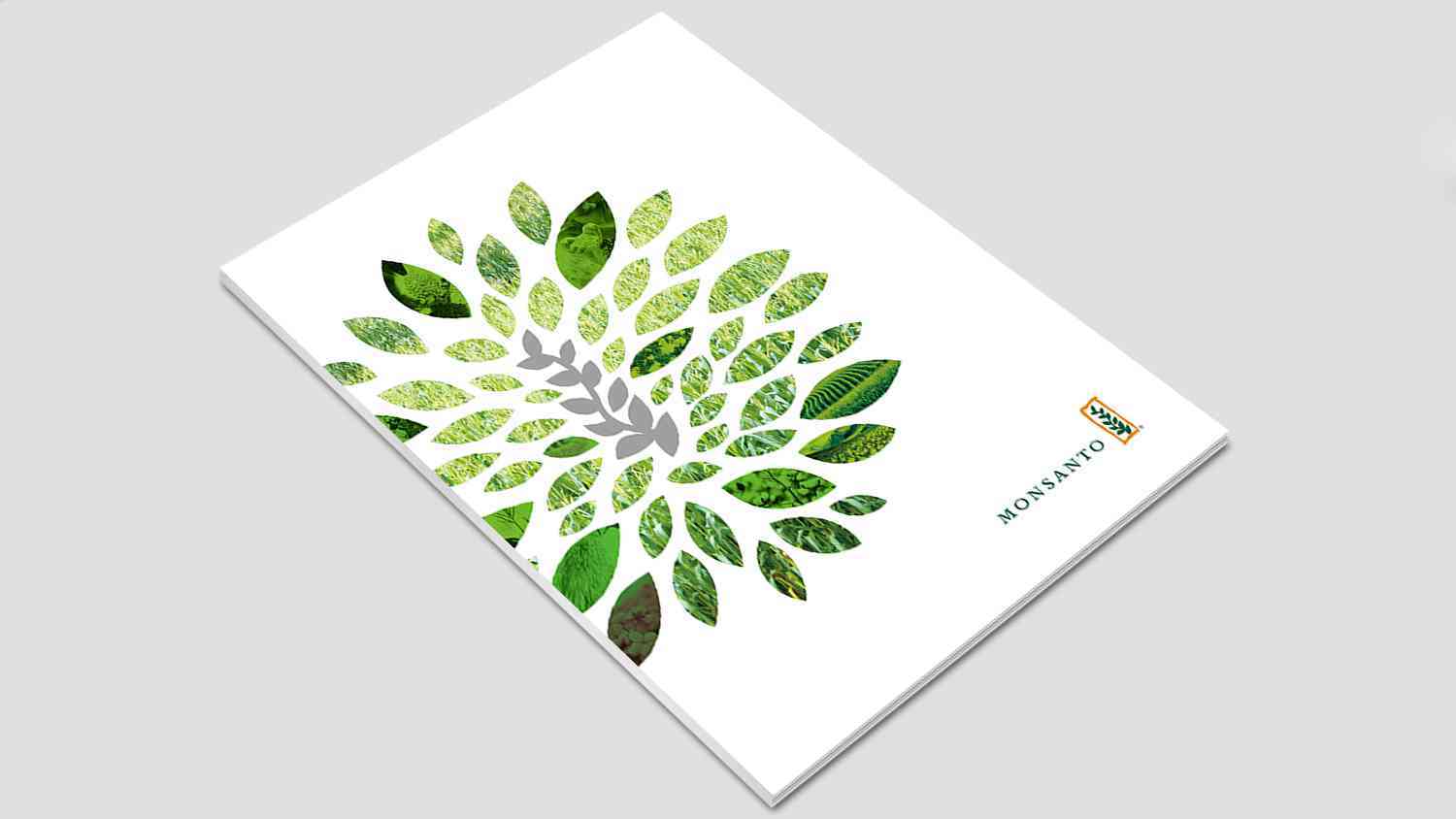 孟山都生物研究公司画册设计图片素材