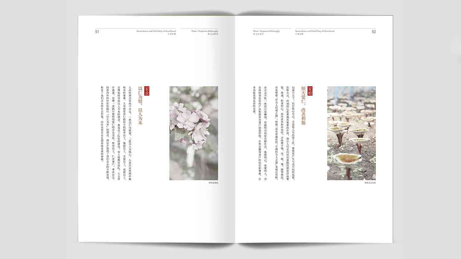 山东京博集团公司画册设计图片素材_3