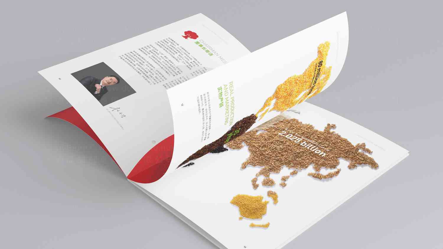 新洋丰肥业宣传画册设计图片_新洋丰肥业画册设计图片案例素材_6