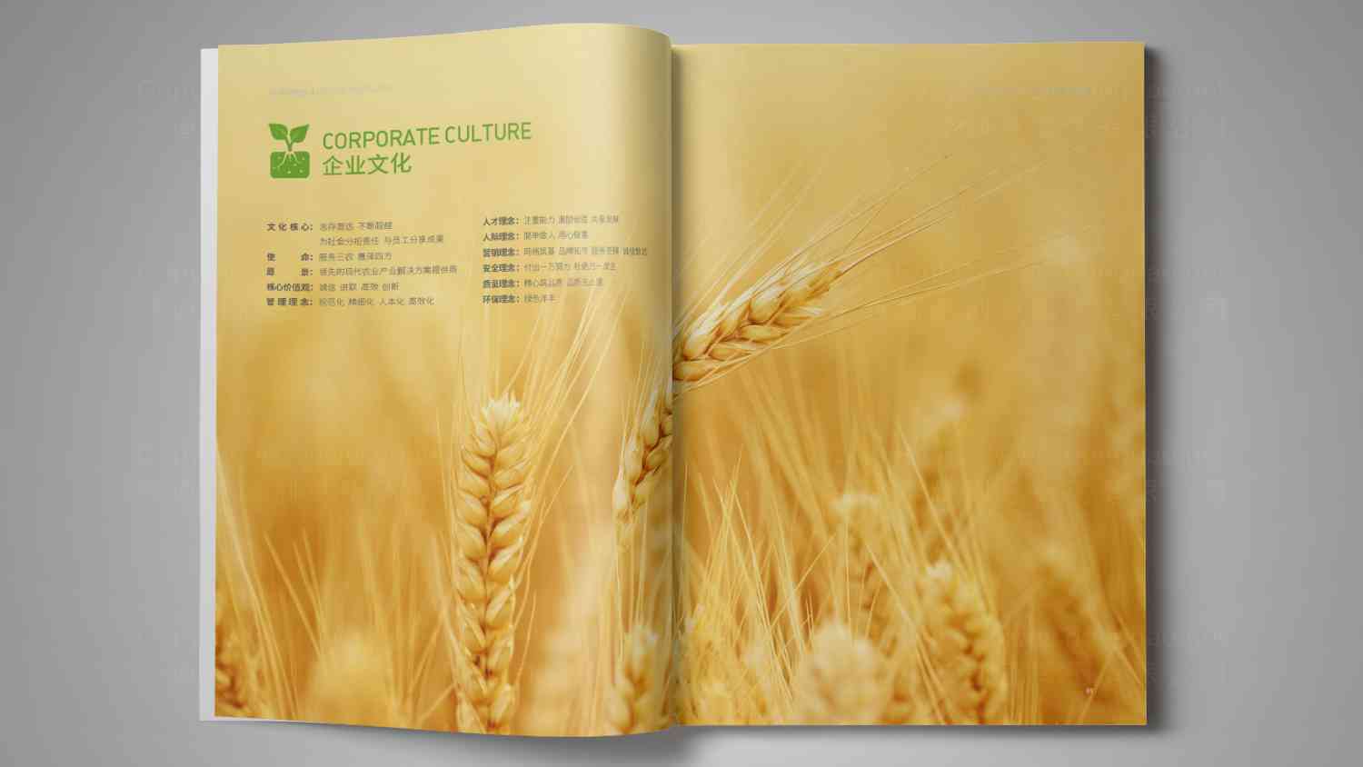 新洋丰肥业宣传画册设计图片_新洋丰肥业画册设计图片案例素材