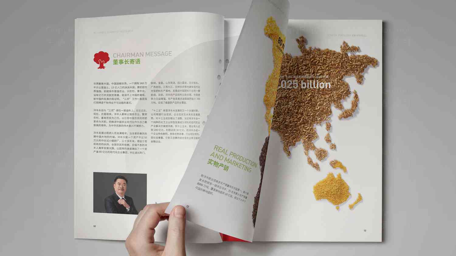 新洋丰肥业宣传画册设计图片_新洋丰肥业画册设计图片案例素材_5